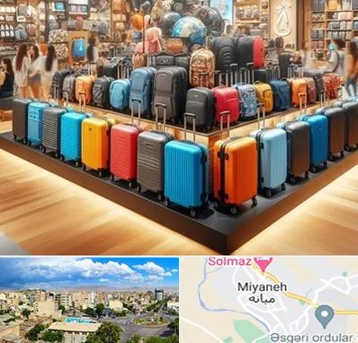 فروشگاه کیف و چمدان در میانه
