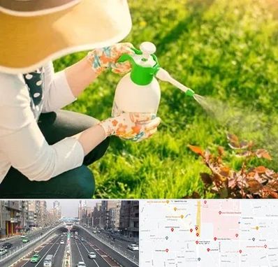 فروش سم حشرات در توحید 