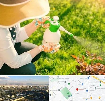 فروش سم حشرات در هنگام 