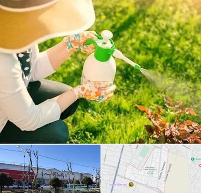 فروش سم حشرات در فاز دو اندیشه