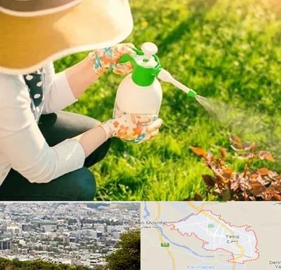 فروش سم حشرات در یاسوج