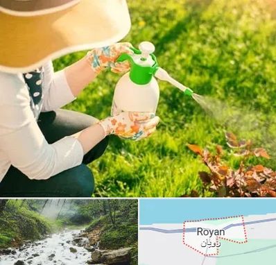 فروش سم حشرات در رویان