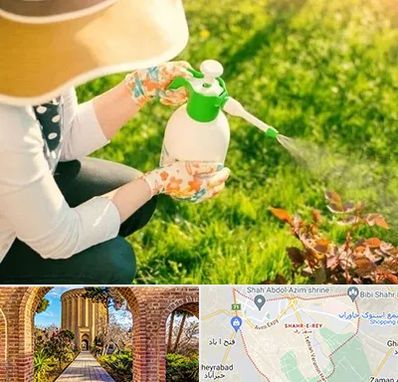 فروش سم حشرات در شهر ری