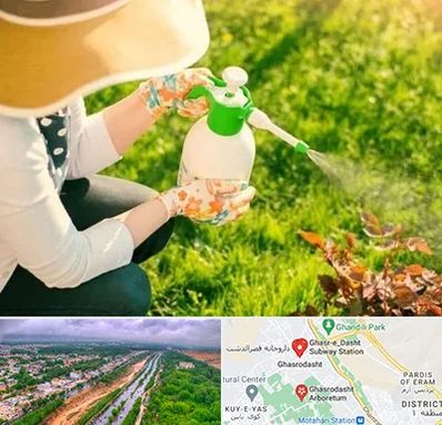 فروش سم حشرات در قصرالدشت شیراز 