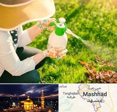 فروش سم حشرات در مشهد