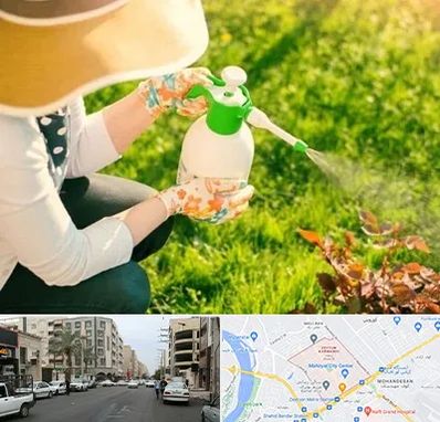 فروش سم حشرات در زیتون کارمندی اهواز 