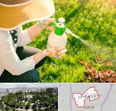 فروش سم حشرات در نیروی هوایی