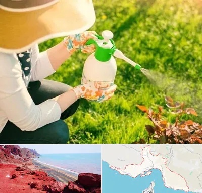 فروش سم حشرات در هرمزگان