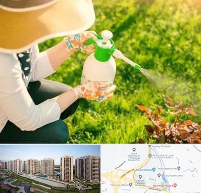 فروش سم حشرات در المپیک 