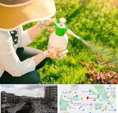 فروش سم حشرات در بلوار فردوسی مشهد 