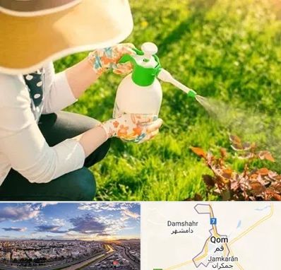 فروش سم حشرات در قم