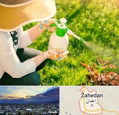 فروش سم حشرات در زاهدان