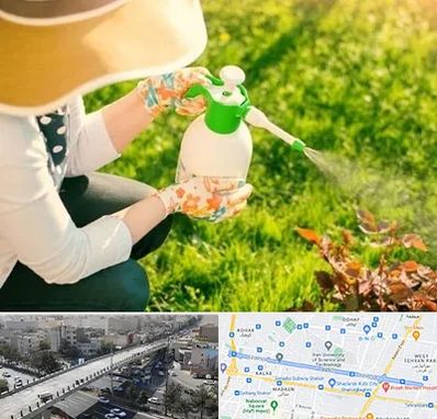 فروش سم حشرات در فرجام 