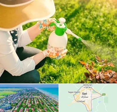 فروش سم حشرات در ساری