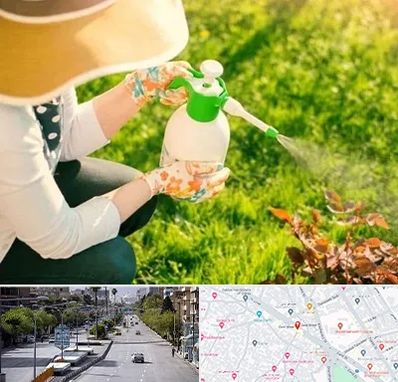 فروش سم حشرات در خیابان زند شیراز 