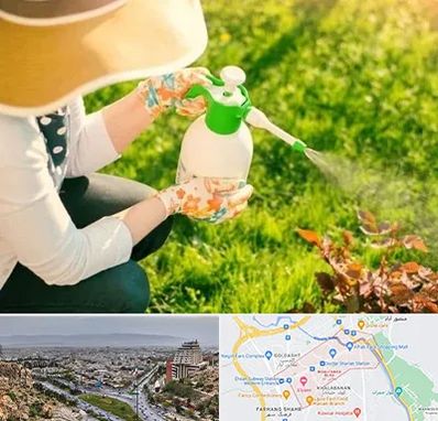 فروش سم حشرات در معالی آباد شیراز 