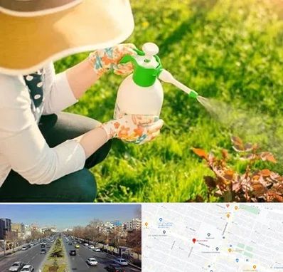 فروش سم حشرات در بلوار معلم مشهد 