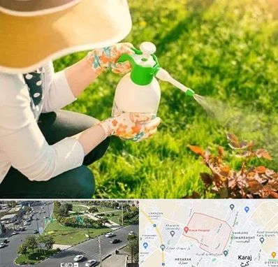 فروش سم حشرات در شاهین ویلا کرج 