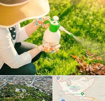 فروش سم حشرات در شهرکرد