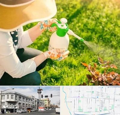 فروش سم حشرات در 17شهریور