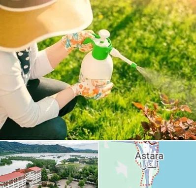 فروش سم حشرات در آستارا