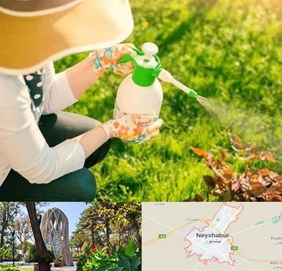 فروش سم حشرات در نیشابور