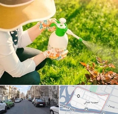فروش سم حشرات در مجیدیه شمالی
