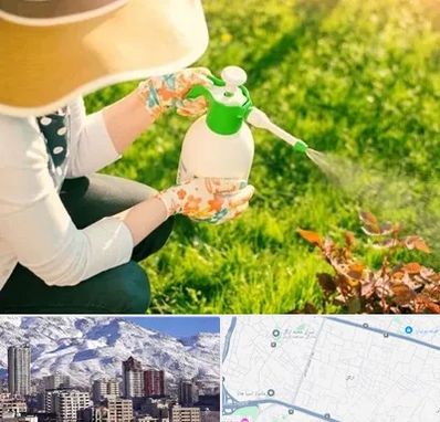 فروش سم حشرات در ازگل