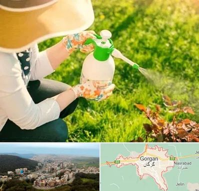 فروش سم حشرات در گرگان