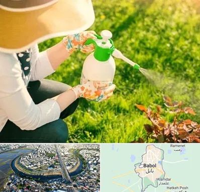 فروش سم حشرات در بابل