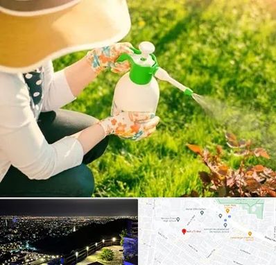 فروش سم حشرات در هفت تیر مشهد 