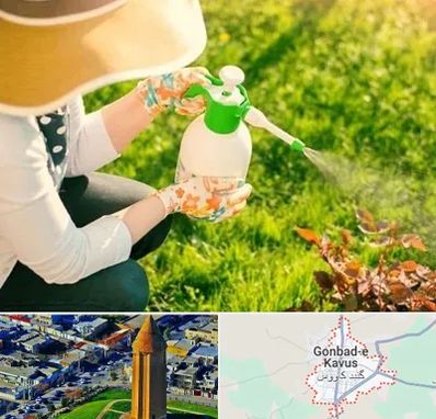 فروش سم حشرات در گنبد کاووس