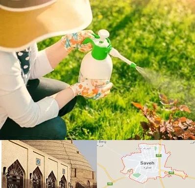 فروش سم حشرات در ساوه