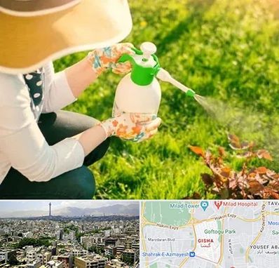 فروش سم حشرات در گیشا 