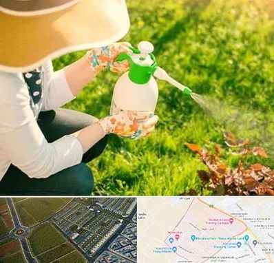 فروش سم حشرات در الهیه مشهد 