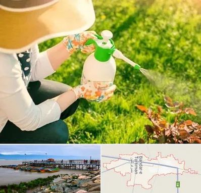 فروش سم حشرات در بندر ترکمن