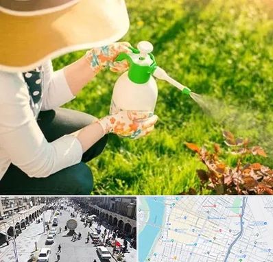 فروش سم حشرات در نادری اهواز 