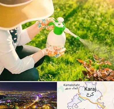 فروش سم حشرات در کرج