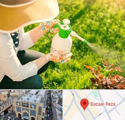 فروش سم حشرات در بازار رضا مشهد