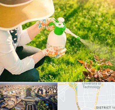 فروش سم حشرات در استاد معین 