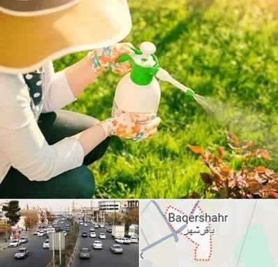 فروش سم حشرات در باقرشهر