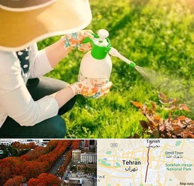 فروش سم حشرات در ولیعصر 