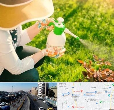 فروش سم حشرات در پیروزی 