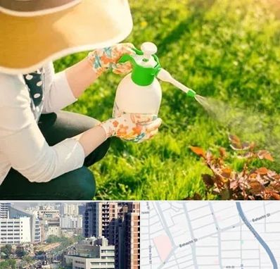 فروش سم حشرات در خیابان بهشتی