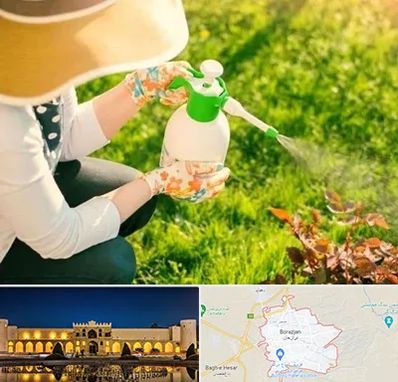 فروش سم حشرات در برازجان