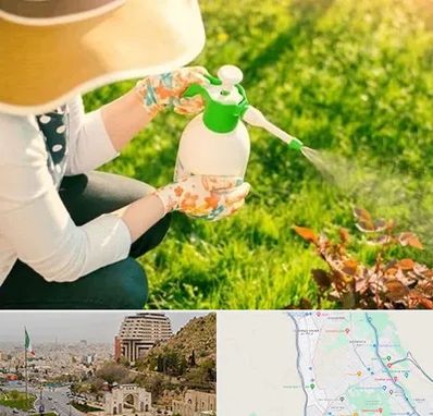 فروش سم حشرات در فرهنگ شهر شیراز 