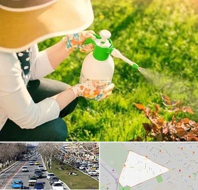 فروش سم حشرات در احمدآباد مشهد 