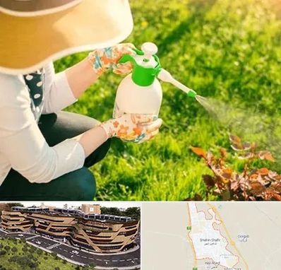 فروش سم حشرات در شاهین شهر