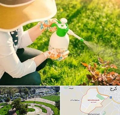 فروش سم حشرات در مهرشهر کرج 