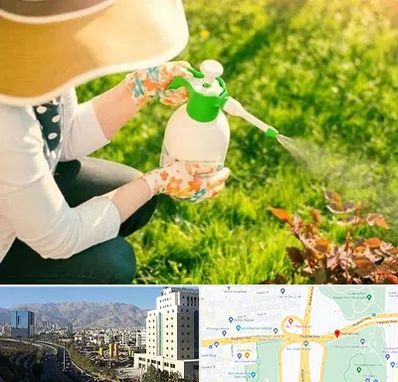 فروش سم حشرات در حقانی 